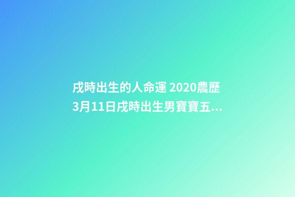 戌時出生的人命運 2020農歷3月11日戌時出生男寶寶五行八字是什么，八字還缺什么？（起名字作為參考）-第1張-觀點-玄機派